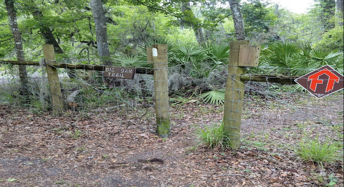 Lot For Sale Suwannee River Campsites Hamilton FL 0.180 acres, ATV